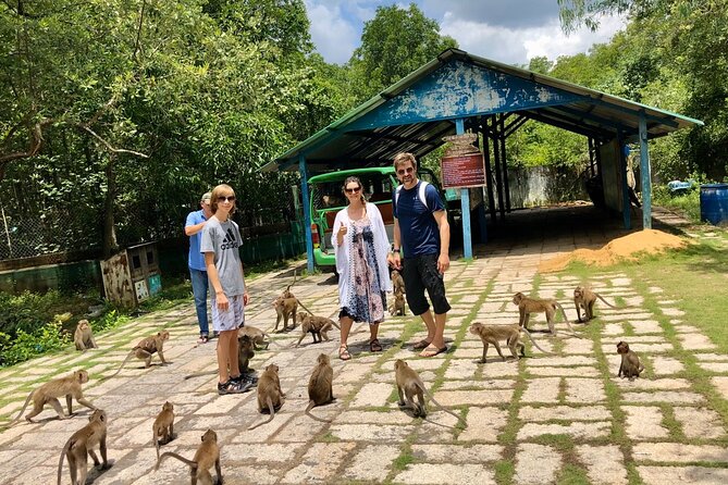 1-Day Can Gio Island-Mangrove Biosphere Reserve-Trekking - Lunch, seafood market sights, and Hang Duong fruit tasting