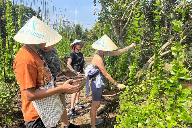 1-Day Explore Non-Touristy Side Of Mekong Delta- Group 10 Max - The 4-kilometer bike ride: gentle distance, real countryside texture