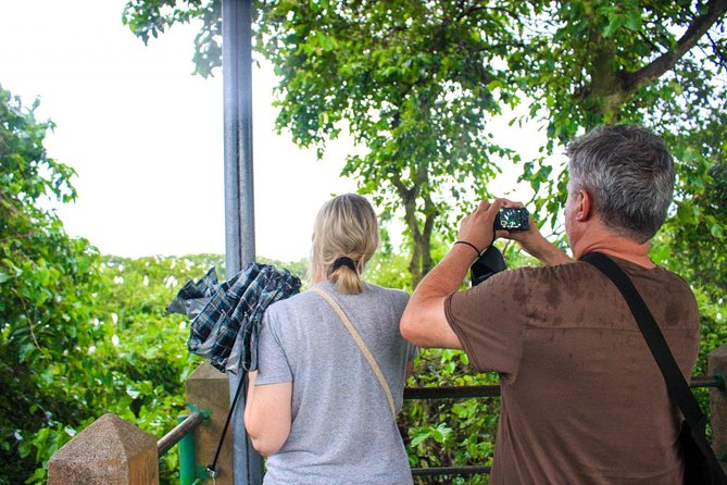2-Day Cu Chi Tunnels & Mekong Delta - Cai Rang Floating Market - Should you book this 2-Day Cu Chi Tunnels & Mekong Delta tour?