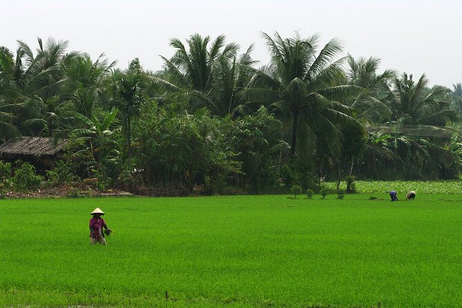Adventure Cu Chi Tunnels and Mekong Delta Tour From HCM - Guides Matter: Tin and Mr. Hua’s Approach