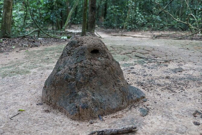 Adventure Cycling & Kayak Mekong-CuChi Tunnels Private Day Tour - Long An Province by bike: rice fields, fruit, and farm life