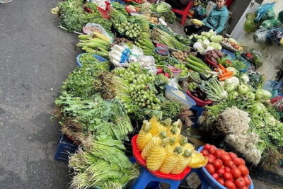 Authentic Vietnamese Cooking Class with Market Visit in HCMc - Morning vs afternoon: choosing your 9AM or 2PM slot