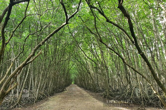 Can Gio Mangrove Forest 1 day tour - Can Gio Monkey Island: crocodiles, mangroves, and the real wildlife moments