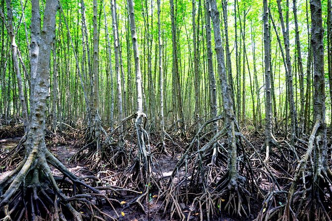 Can Gio Mangrove Forest 1 day tour - Pool time and the 30th April Beach: a breather before the return