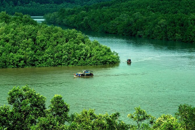 Can Gio Mangrove Forest 1 day tour - Dan Xay bridge pier stop: sugar-cane juice and an easy reset