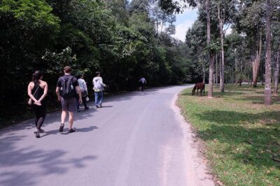 Cu Chi Tunnels By Motorbike and Scooter - The 7:30 AM Start: Pickup, Gear, and Getting Out of HCMC