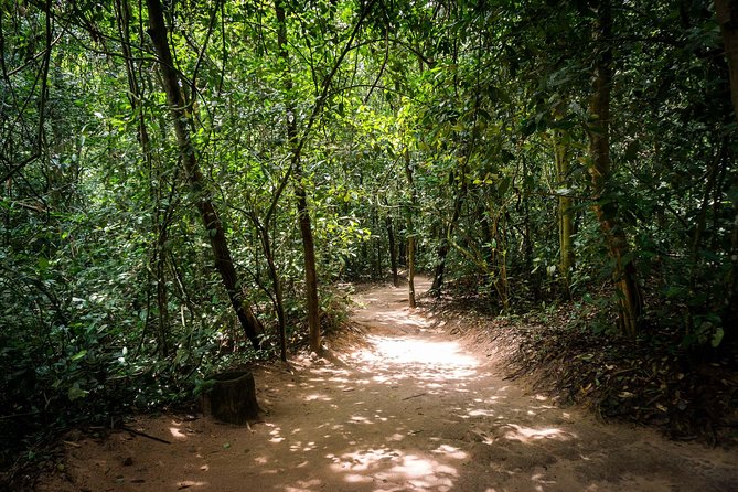 Cu Chi Tunnels Half-Day Tour: Vietnam War Underground Network - Small-group guiding: why Anthony, Dan, Bao, Tom, and Kevin matter