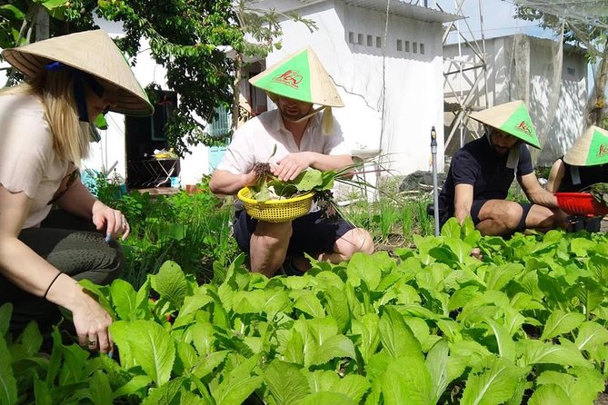 Explore Vietnamese Cuisine: Cooking Class from Ho Chi Minh City - Meet your guide and chef, then cook four dishes hands-on