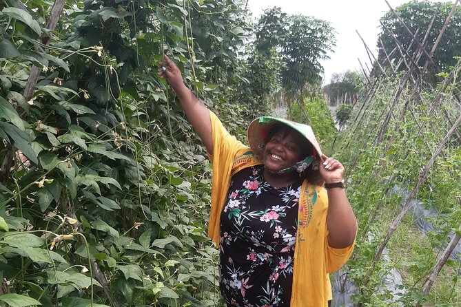 Exploring organic farm & Vietnamese Culinary with Master chef - The farm-to-kitchen jump: Yin–Yang cooking and why it’s different