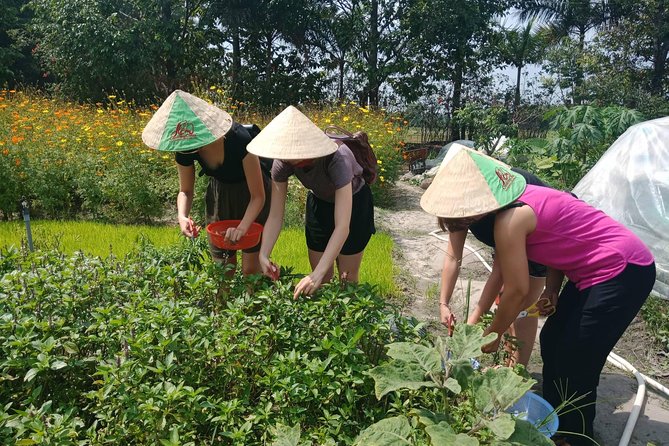 Farm-To-Table Healthy Cooking Class in Ho Chi Minh City - The Farm-To-Table idea that actually helps you cook healthier