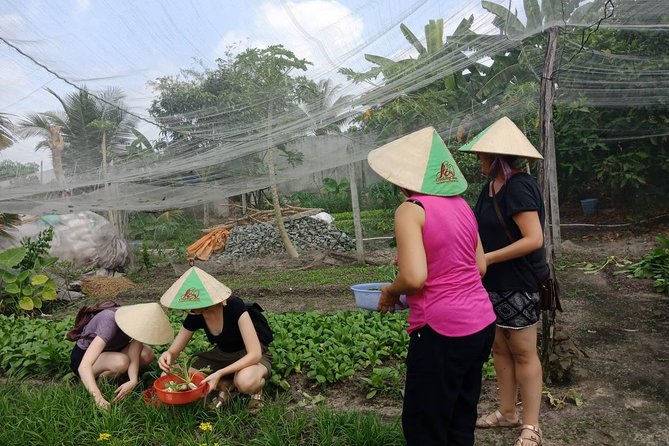 Farm-To-Table Healthy Cooking Class in Ho Chi Minh City - The harvest moment: scissors in your hand, farmer mode on