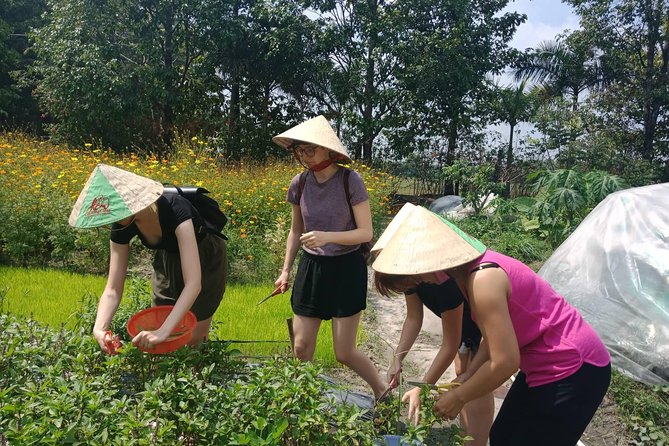 Farm-To-Table Healthy Cooking Class in Ho Chi Minh City - Cooking four healthy dishes outdoors, with tasting after each one