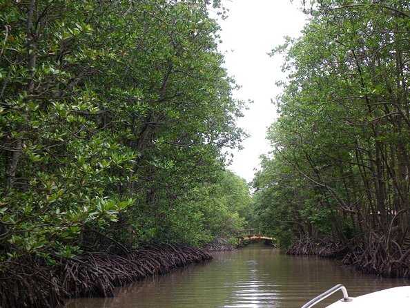 From Ho Chi Minh: Can Gio Trek – Monkey Island & Crocodile Farm - Price and logistics: what your $28.50 actually covers