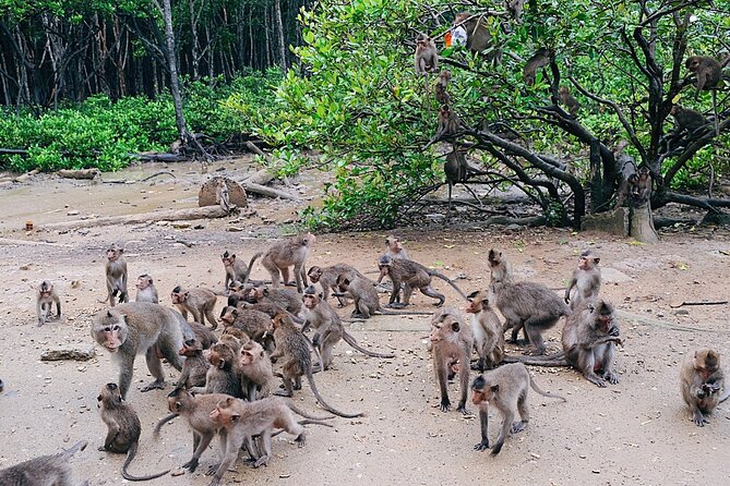 From Ho Chi Minh: Can Gio Trek – Monkey Island & Crocodile Farm - Monkey Island: up-close wildlife, plus the rules of coexisting