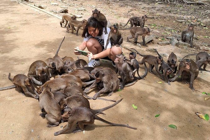 From Ho Chi Minh: Can Gio Trek – Monkey Island & Crocodile Farm - Cần Giờ seafood market and lunch by the water