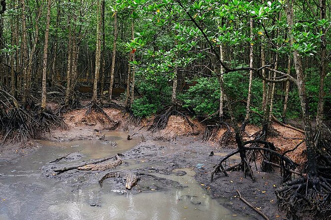 From Ho Chi Minh: Can Gio Trek – Monkey Island & Crocodile Farm - Optional boat upgrade: when you want more water time