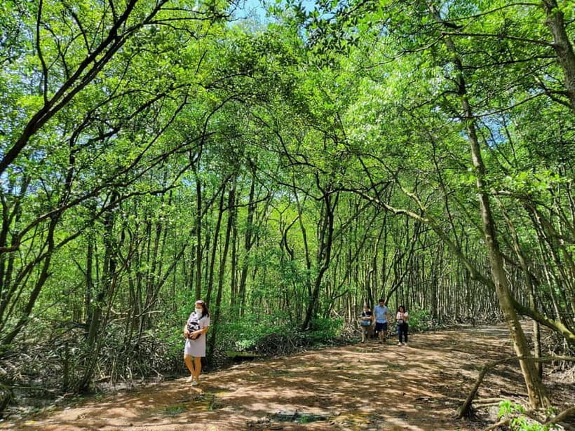 From Ho Chi Minh City: Can Gio Mangrove & Monkey Island Trek - Hoa Ca Crocodile Reserve: watching wildlife without the zoo feel