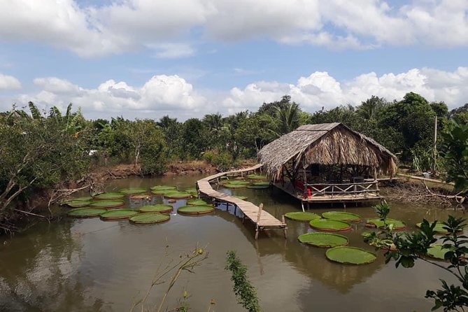 Full-day Cai Rang floating market - explore countryside, make bakery - from HCM - Rice noodle and pho factory: watching your breakfast get made