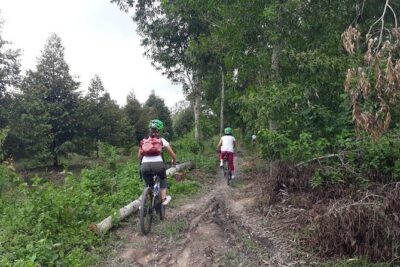 Full Day Off The Beaten Track the Mekong Delta. - Cycling the Mekong countryside: paths, villages, and a real feel for daily life