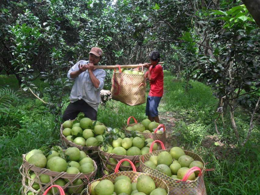 HCMC: Cai Rang Floating Market & Mekong Delta Private Tour - Should you book the Cai Rang & Mekong Delta private day tour?