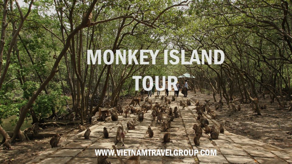 HCM:Can Gio Mangrove Forest Tour-Monkey Island - Key highlights worth your attention