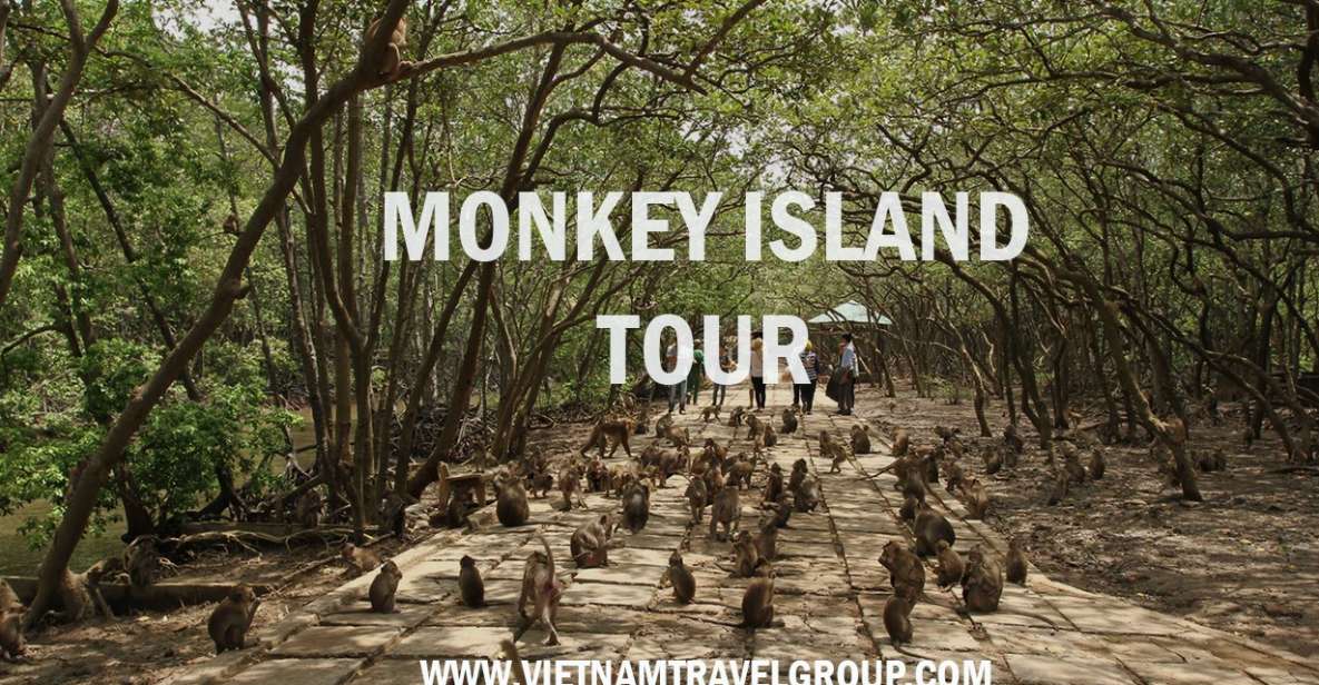 HCM:Can Gio Mangrove Forest Tour-Monkey Island - From District 1 to Cần Giờ: the ride that sets the tone