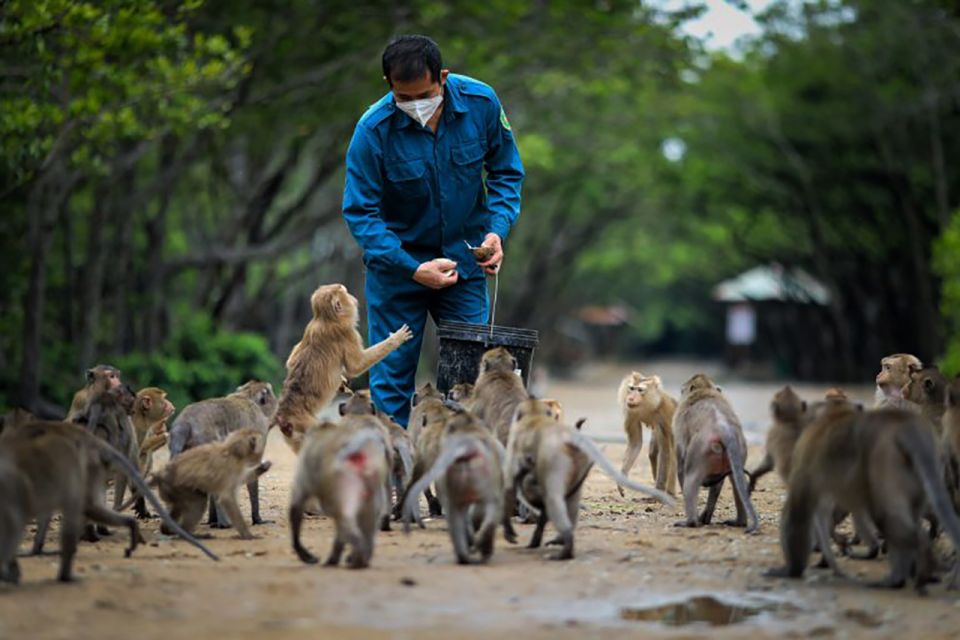 HCM:Can Gio Mangrove Forest Tour-Monkey Island - Crocodile farm stop: reptiles, feeding sessions, and what to expect
