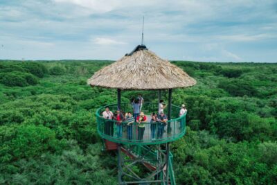 HCM:Can Gio Mangrove Forest Tour-Monkey Island - Monkey Island Cần Giờ: long-tailed macaques and the rules that matter