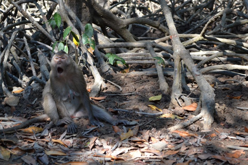 HCM:Can Gio Mangrove Forest Tour-Monkey Island - Cần Giờ Mangrove Biosphere Reserve: speedboat cruise and the best nature pacing