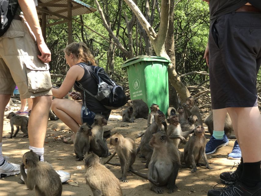 HCM:Can Gio Mangrove Forest Tour-Monkey Island - Price and logistics: how $37 fits the day you’re actually getting