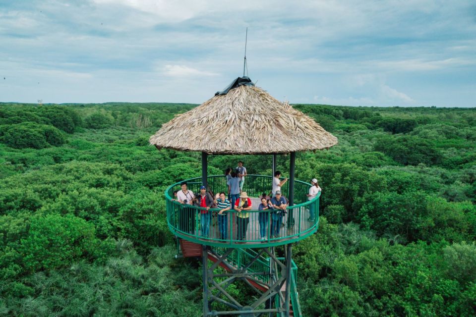 HCM:Can Gio Mangrove Forest Tour-Monkey Island - Monkey Island Cần Giờ: long-tailed macaques and the rules that matter