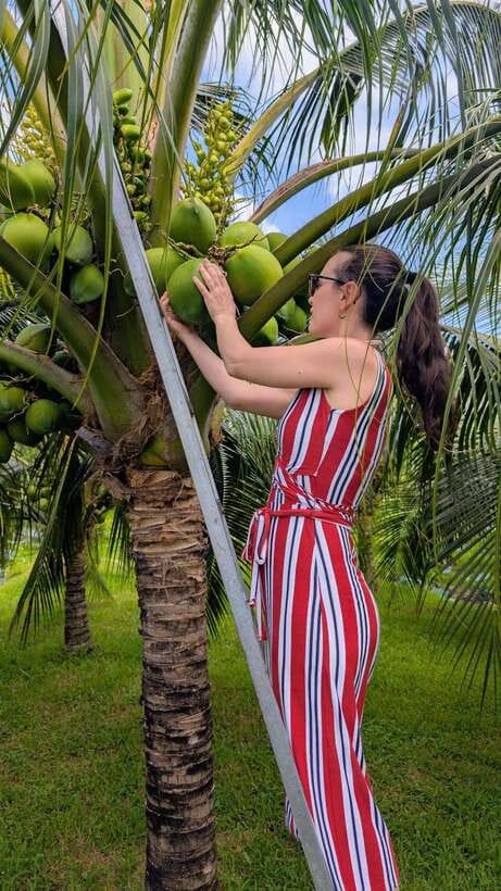 Ho Chi Minh: 1-Day Mekong Delta Tour-Floating Market & Islet - On the Water and in Transit: Timing That Keeps the Day Moving