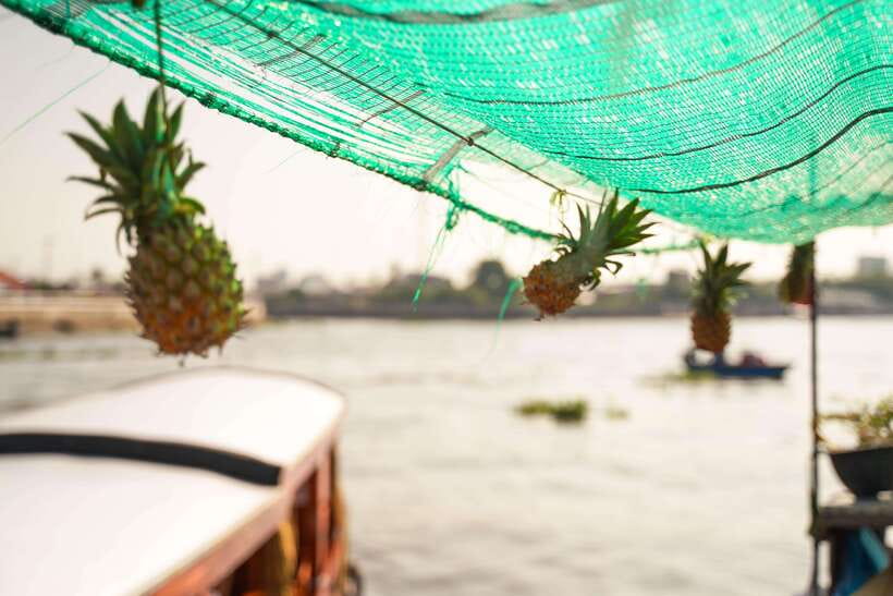 Ho Chi Minh: 3-Day Mekong Delta & Optional Exit to PhnomPenh - Hotels and meals: what’s included, what it means for comfort