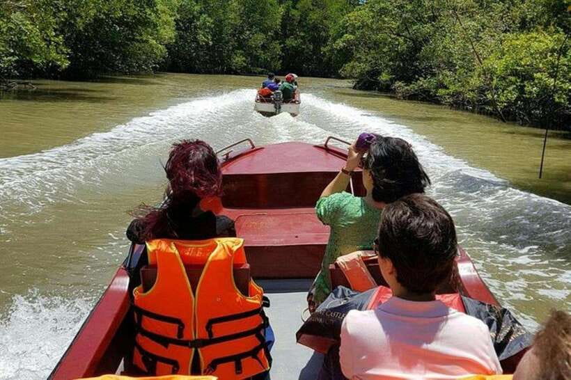 Ho Chi Minh: Can Gio Mangrove and Monkey Island - Crocodile conservation area: American War-era history meets local conservation