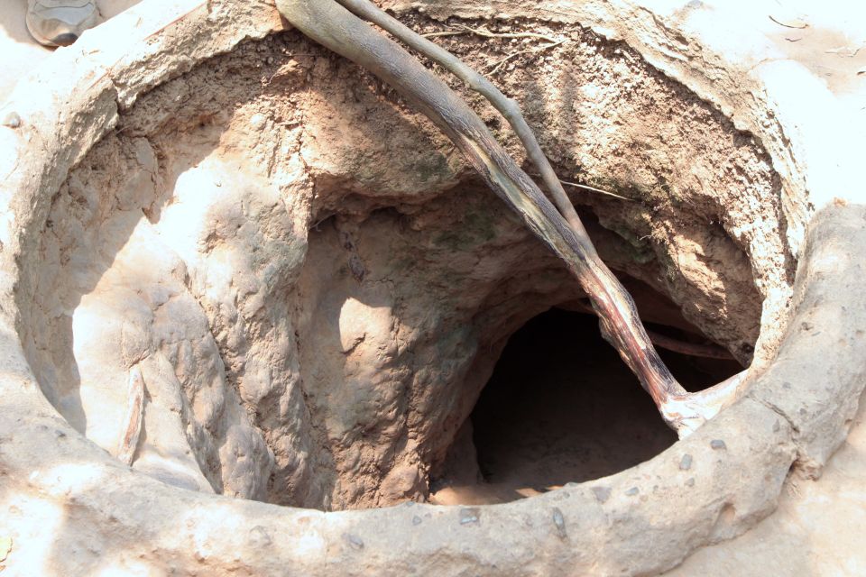 Ho Chi Minh City: Cu Chi Tunnels Morning or Afternoon Tour - Price and value: why $13 feels unusually fair (and when it doesn’t)