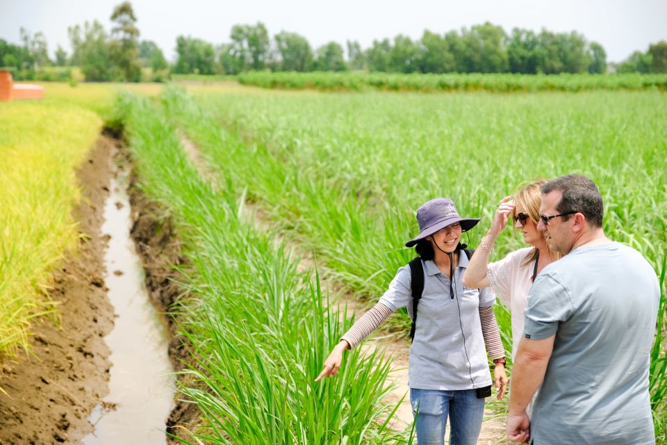 Ho Chi Minh City: Mekong Delta Full-Day Speedboat Tour - Thủ Thừa District: wine tasting plus a walk