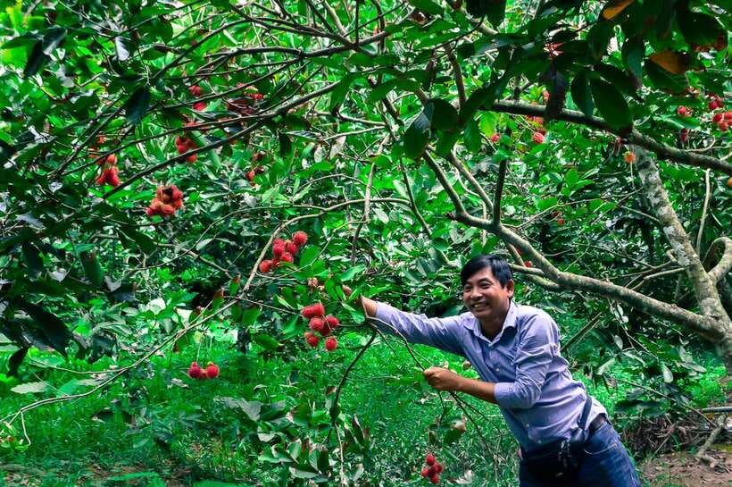 Ho Chi Minh City: Mekong Delta Tour with Sampan Journey - Coconut-Canal Sampan Ride: The Part That Feels Most Local