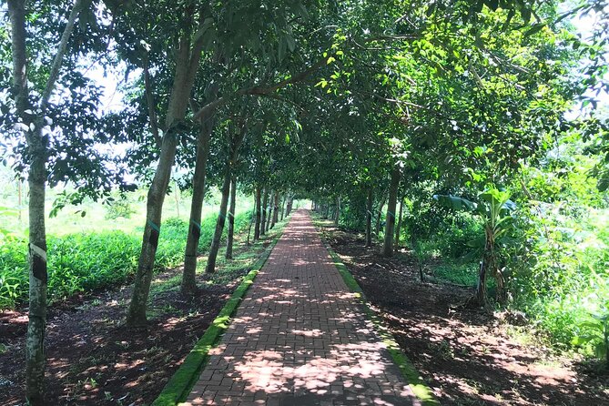 Long Tan Battlefield Day Tour - "Lest We Forget" - An 8am start from Ho Chi Minh City (and why it’s worth it)