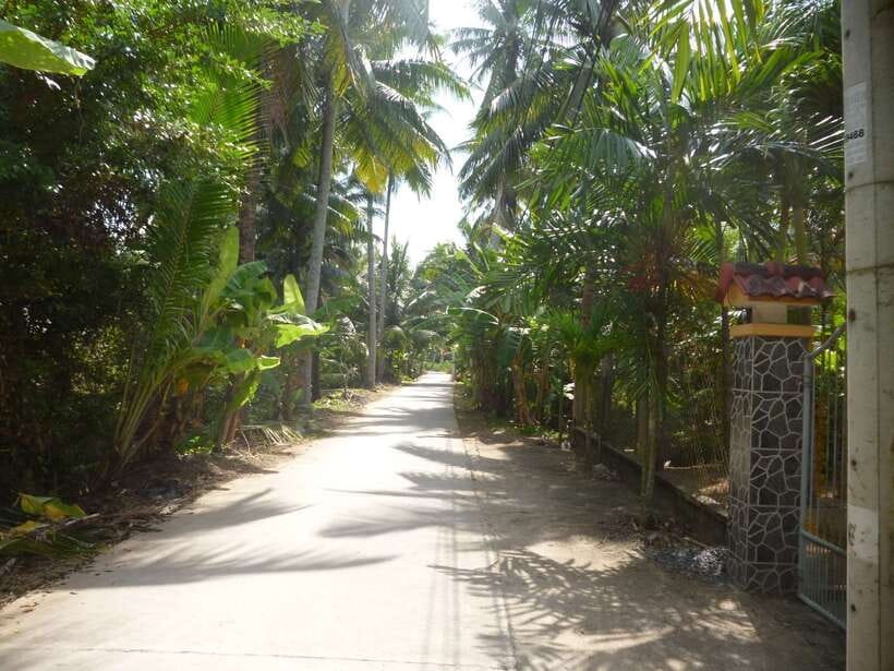 Mekong Day Tour by Car:Cai Be market, Local Island & Cycling - Why Cái Bè Works for a Mekong Day Tour