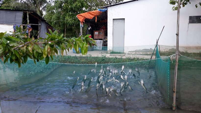 Mekong Day Tour by Car:Cai Be market, Local Island & Cycling - Sampan Ride Through Small Canals: The Quiet Part