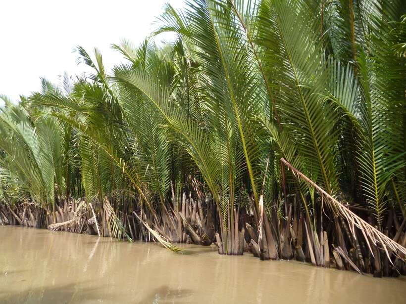 Mekong Day Tour by Car:Cai Be market, Local Island & Cycling - Lunch at a Local Garden House: Where the Day Clicks