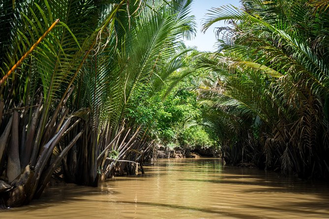 Mekong Delta Small Group Full Day Tour - Getting around on the Mekong: boats, small water moments, and optional add-ons