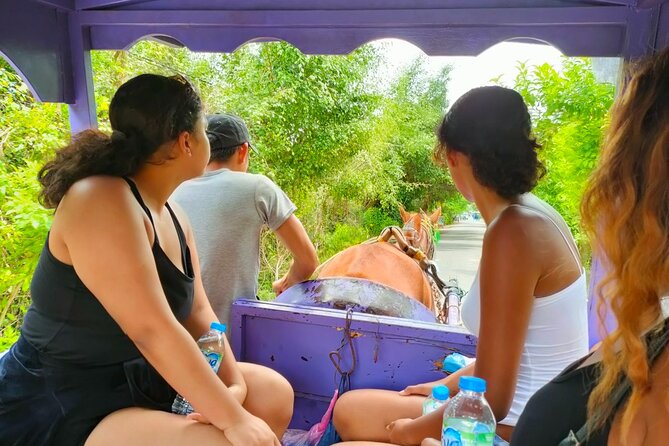 Mekong Delta Tour Daily - Why this Mekong Delta day feels worth $25