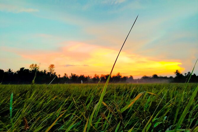PRIVATE Mekong Delta 1 Day with Kayaking, Biking & Cooking - How the My Tho–Ben Tre day starts from Ho Chi Minh City