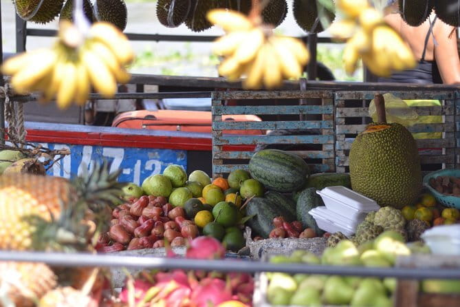 Private Mekong Delta tour to Cai Be – Tan Phong island full day - Key points worth knowing